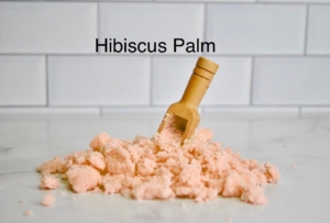 Hibiscus Palm